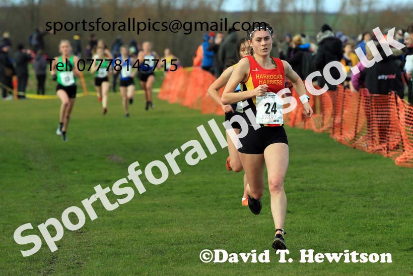 Womens under-20s 2022 Northern Cross Country Champs., Pontefract. Photo: David T. Hewitson/Sports for All Pics